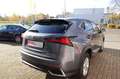Lexus NX 300 h E-FOUR Executive Panorama 3J Garantie Grau - thumbnail 4