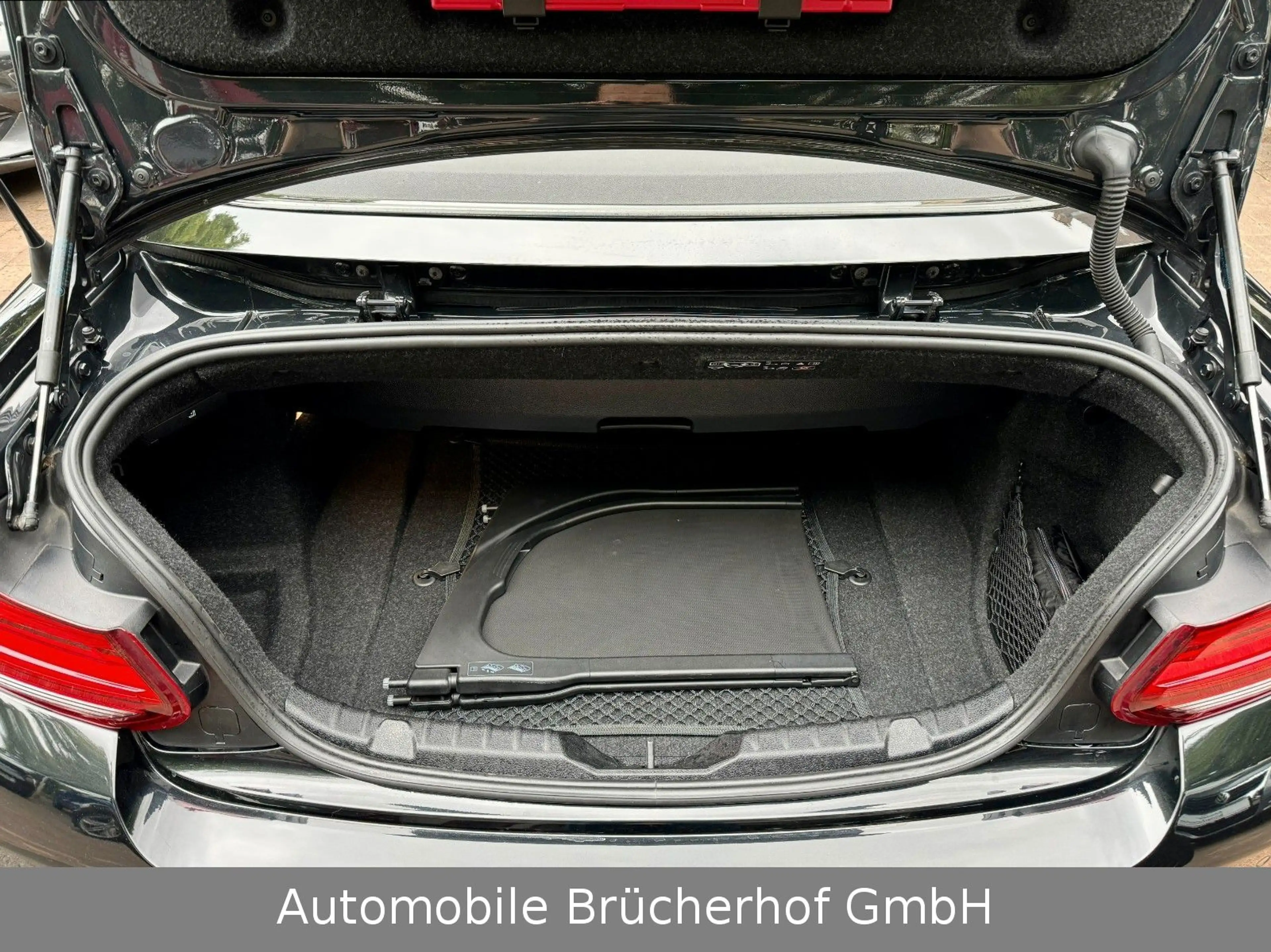 BMW 240 Cabrio adap.LED/NaviProf./CognacLeder/BRD — photo 13