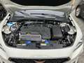 CUPRA Formentor VZ5 4Drive 2.5 TSI BeatsAudio Grau - thumbnail 21