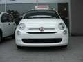 Fiat 500 1.0 Hybrid Cult Weiß - thumbnail 4