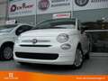 Fiat 500 1.0 Hybrid Cult Weiß - thumbnail 1