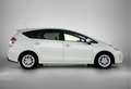 Toyota Prius+ Prius Wagon 1.8 Hybrid Skyview | Panoramadak | 7-Z Weiß - thumbnail 20