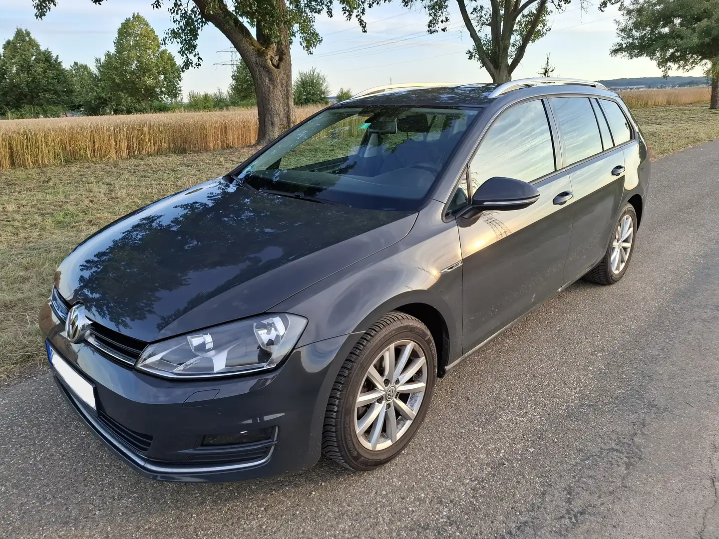 Volkswagen Golf Variant Golf VII Variant 1.4 TSI BlueMotion Technology Grau - 2