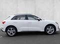 Audi Q3 40 TDI Business Advanced quattro S tronic Bianco - thumbnail 4