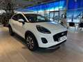 Ford Puma 1,0 EcoBoost Hybrid Titanium Weiß - thumbnail 1