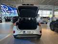 Ford Puma 1,0 EcoBoost Hybrid Titanium Weiß - thumbnail 14