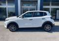 Citroen C3 PureTech 100 S&S Plus Bianco - thumbnail 5