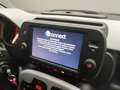 Fiat Panda 1.0 70CV HYBRID CROSS Blu/Azzurro - thumbnail 20