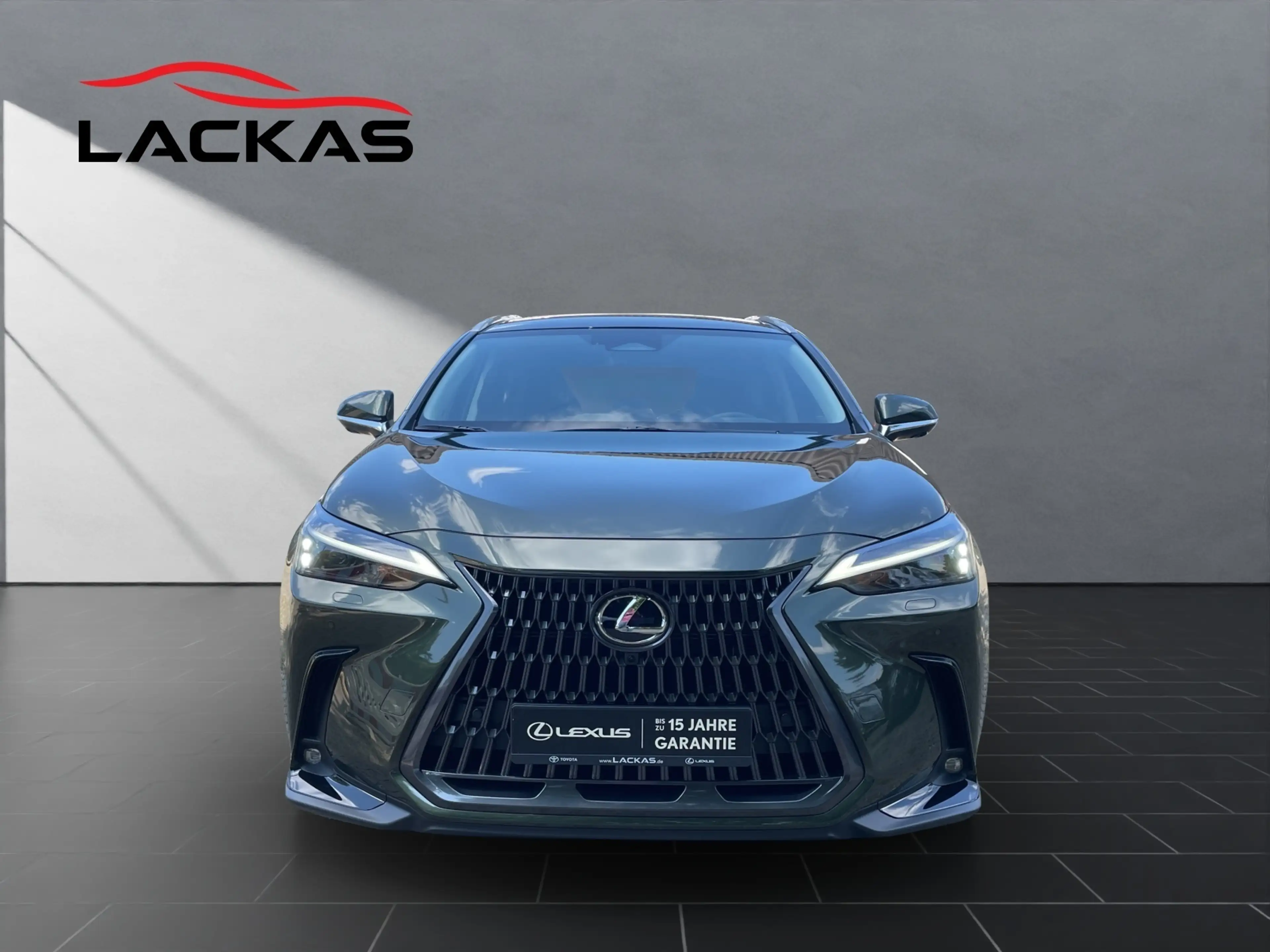Lexus NX 450h+ + Executive HEAD-UP+MEMORY+PANO — photo 8