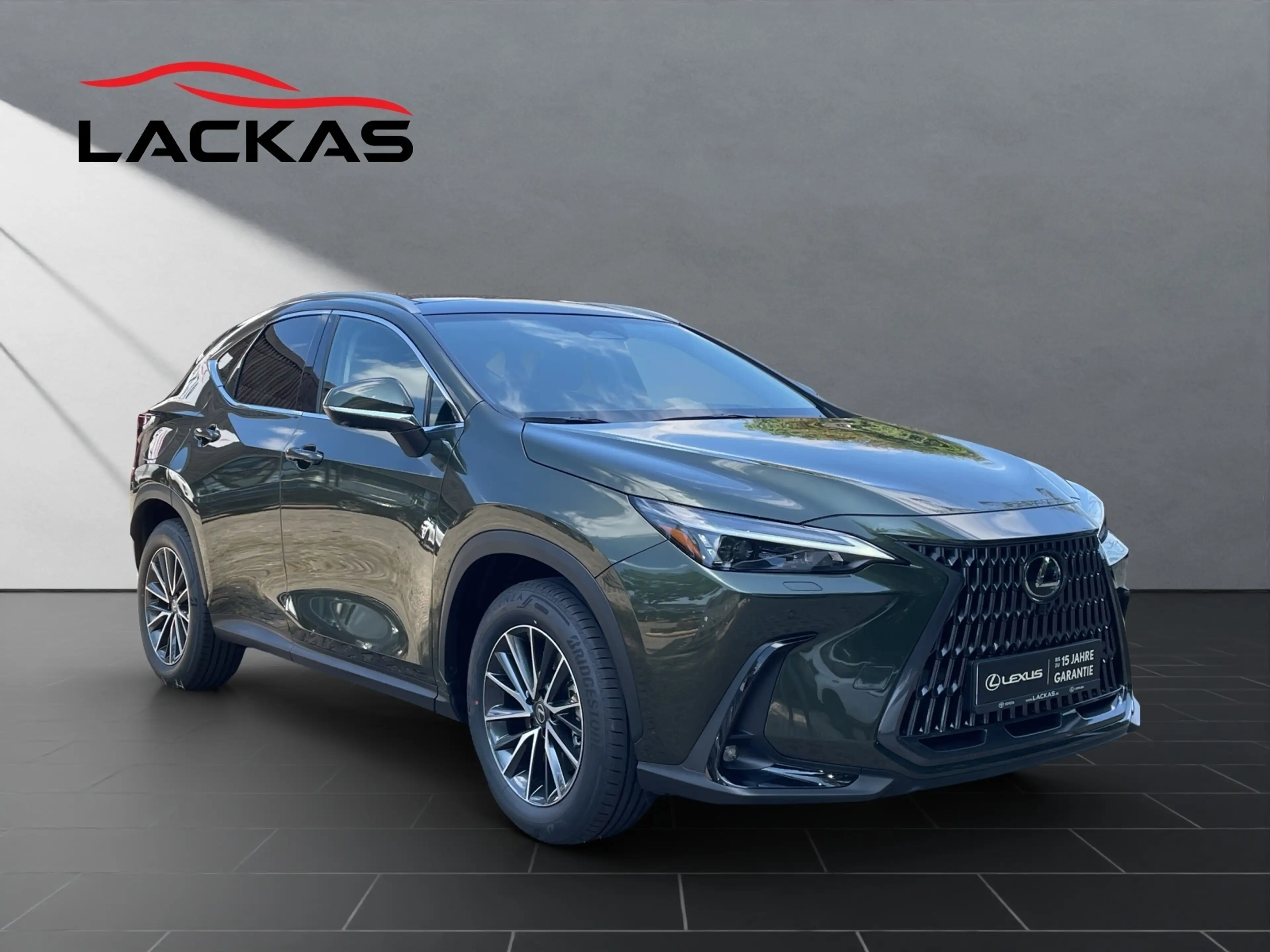 Lexus NX 450h+ + Executive HEAD-UP+MEMORY+PANO — photo 7