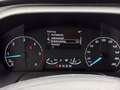 Ford Tourneo Custom 2.0 TDCi 320 L1 Titanium X Aut. AHK/Zusatzheizung Blau - thumbnail 28