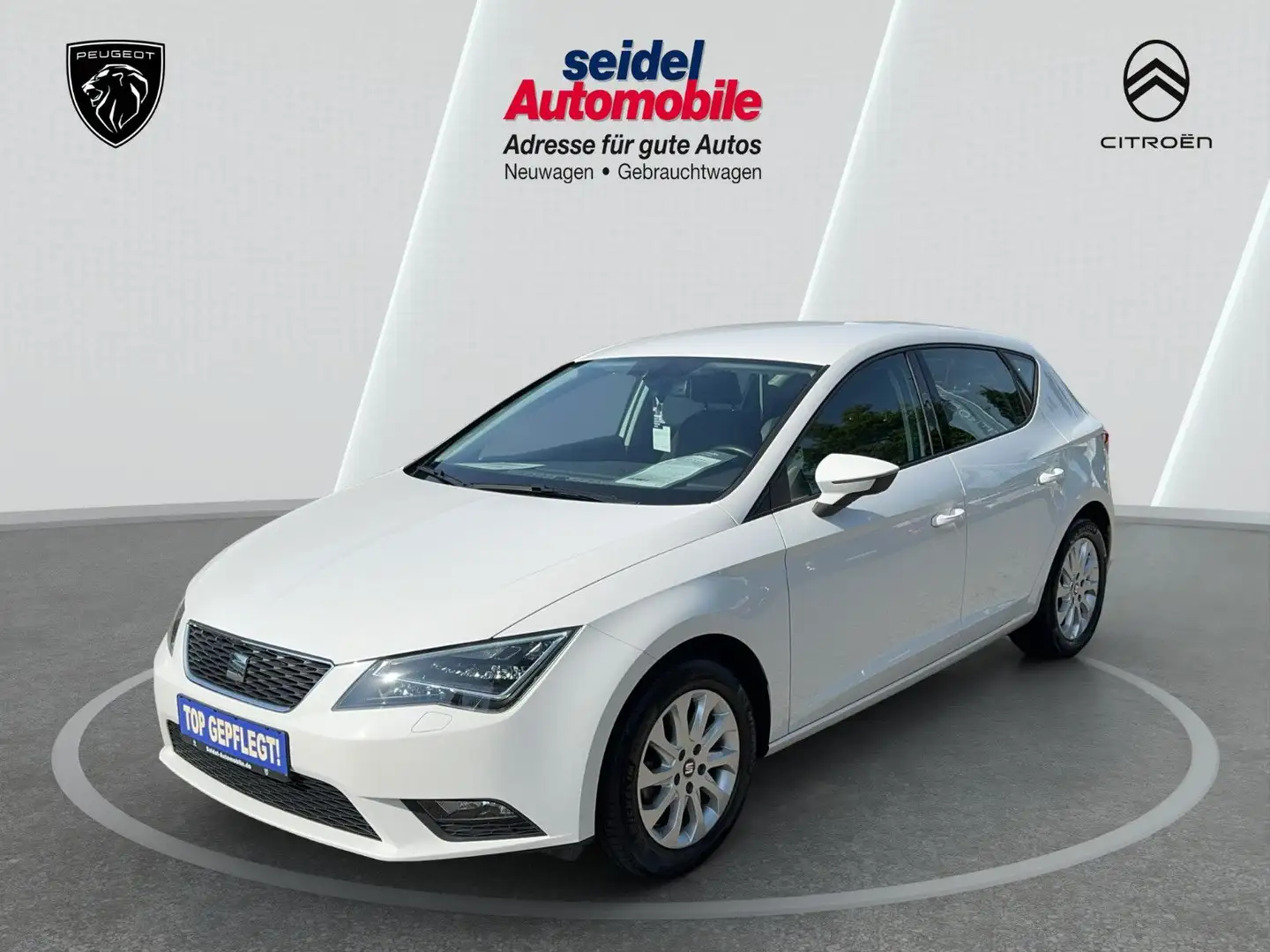 SEAT Leon 1.2 TSI 81kW Start&Stop Style Automatik Weiß - 1