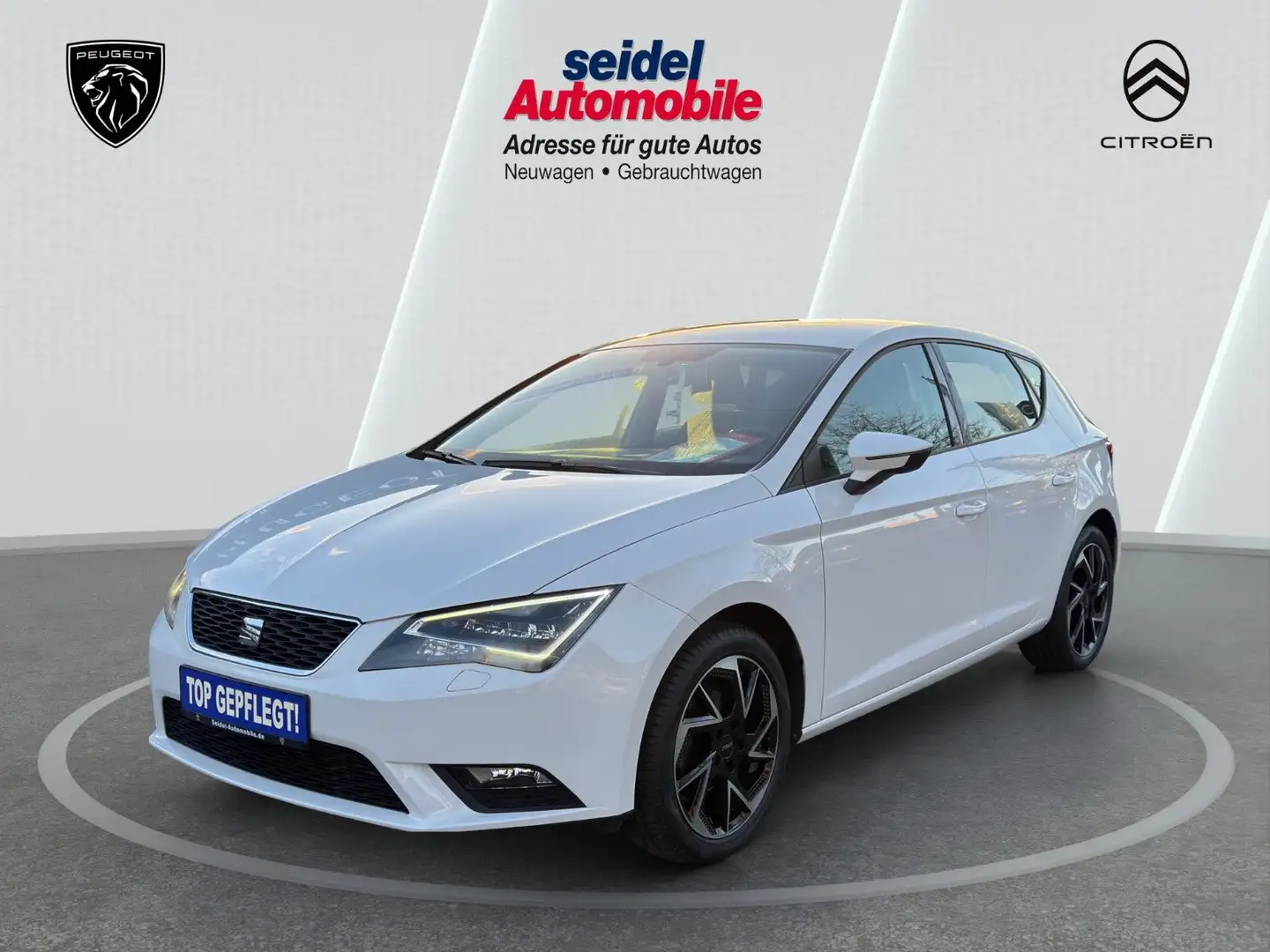 SEAT Leon 1.2 TSI 81kW Start&Stop Style Automatik Weiß - 1