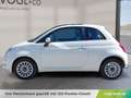 Fiat 500 1.0 Mild Hybrid Dolcevita Weiß - thumbnail 3