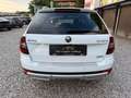 Skoda Octavia Combi 2,0 Style TDI 4x4 DSG Weiß - thumbnail 7