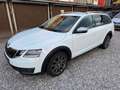 Skoda Octavia Combi 2,0 Style TDI 4x4 DSG Weiß - thumbnail 1
