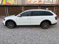 Skoda Octavia Combi 2,0 Style TDI 4x4 DSG Weiß - thumbnail 5