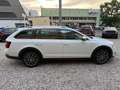 Skoda Octavia Combi 2,0 Style TDI 4x4 DSG Weiß - thumbnail 6