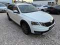 Skoda Octavia Combi 2,0 Style TDI 4x4 DSG Weiß - thumbnail 2