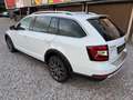 Skoda Octavia Combi 2,0 Style TDI 4x4 DSG Weiß - thumbnail 4