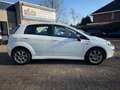 Fiat Punto Evo 0.9 TwinAir Young *AIRCO*NW. APK*ELEKTR. RAMEN*5DR Weiß - thumbnail 4