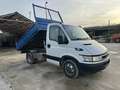 Iveco Daily ribaltabile trilatetale - thumbnail 2