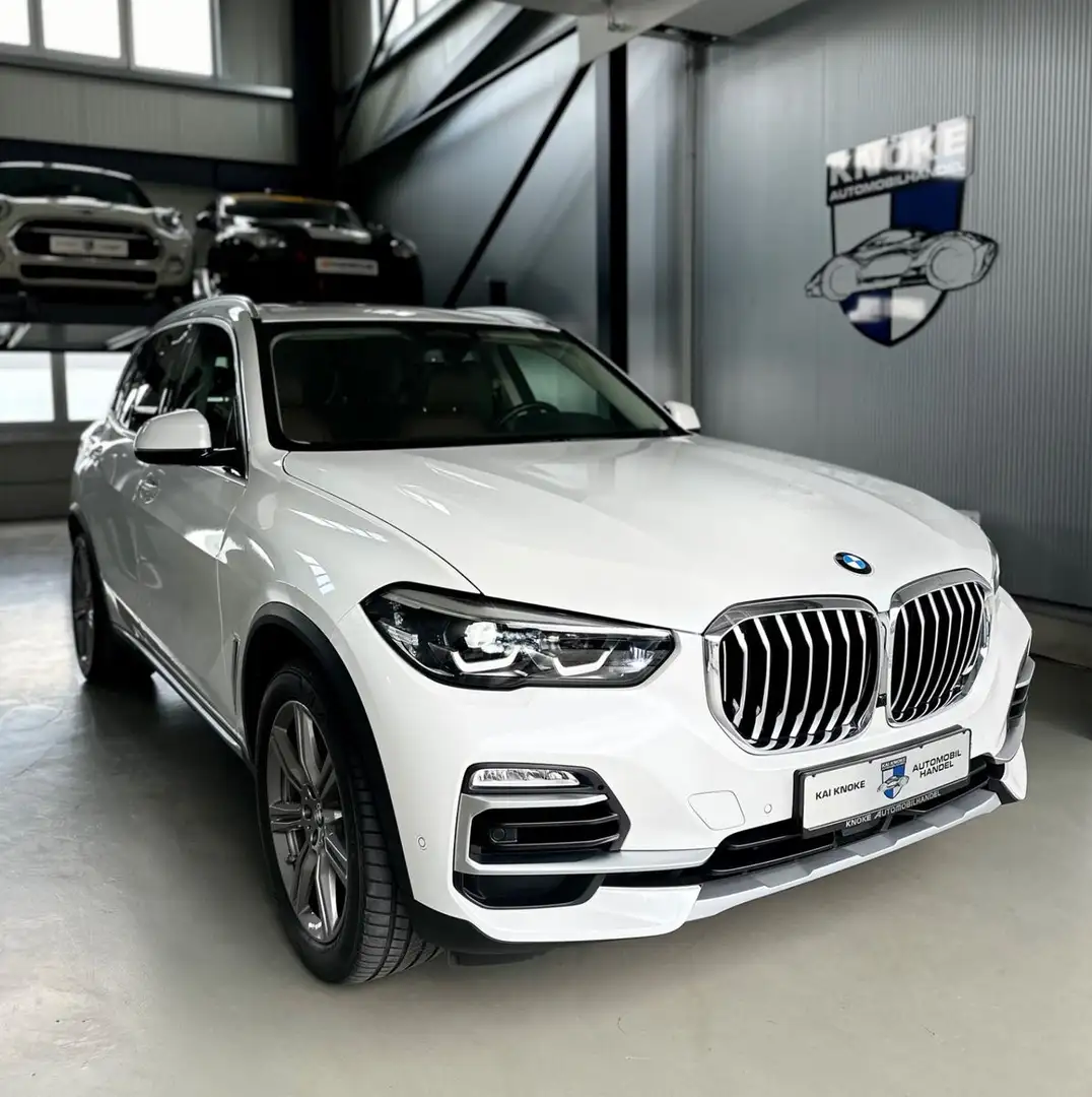 BMW X5 xDrive Individual PANO/Head-Up/Stdhz./7-Sitze Weiß - 1