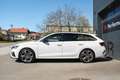 Skoda Octavia Combi 2,0 TDI 4x4 RS DSG MATRIX/DCC/3-ZONEN/SHZ... Weiß - thumbnail 4