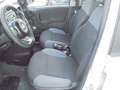 Fiat Panda Panda 1.3 mjt 16v Easy S&S  95 cv.  67313 KM. CERT Beige - thumbnail 7