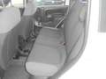 Fiat Panda Panda 1.3 mjt 16v Easy S&S  95 cv.  67313 KM. CERT Beige - thumbnail 9
