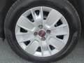 Fiat Panda Panda 1.3 mjt 16v Easy S&S  95 cv.  67313 KM. CERT Beige - thumbnail 15