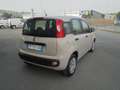 Fiat Panda Panda 1.3 mjt 16v Easy S&S  95 cv.  67313 KM. CERT Beige - thumbnail 4