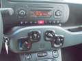 Fiat Panda Panda 1.3 mjt 16v Easy S&S  95 cv.  67313 KM. CERT Beige - thumbnail 11
