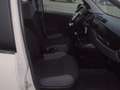 Fiat Panda Panda 1.3 mjt 16v Easy S&S  95 cv.  67313 KM. CERT Beige - thumbnail 8