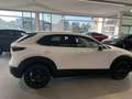 Mazda CX-30 Mazda Cx-30 Ad'vantage 140cv 6MT Bianco - thumbnail 4
