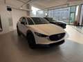 Mazda CX-30 Mazda Cx-30 Ad'vantage 140cv 6MT Bianco - thumbnail 5