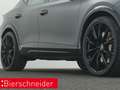 CUPRA Formentor 2.0 TSI DSG 4Dr. VZ ABT-PAKET AKRA PANO ALU 21 Grau - thumbnail 34
