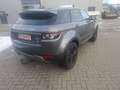 Land Rover Range Rover Evoque Pure,Allrad,AHk,19"Alu usw. Grau - thumbnail 4