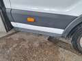 Ford Transit Transit Fahrgestell 2,0 TDCi L3H1 350 Trend Trend Weiß - thumbnail 3