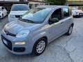 Fiat Panda Panda 1.0 firefly hybrid Grigio - thumbnail 5