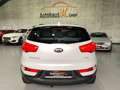 Kia Sportage Platinum Edition 4WD PANO SHZ XENON AHK White - thumbnail 4
