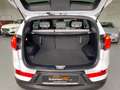 Kia Sportage Platinum Edition 4WD PANO SHZ XENON AHK White - thumbnail 5