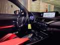 Lexus UX 250h F Sport - GARANZIA LEXUS Nero - thumbnail 11