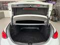 Mercedes-Benz C 200 d Aut. Limousine *AMG-LINE*TOP AUSSTATTUNG* Weiß - thumbnail 40