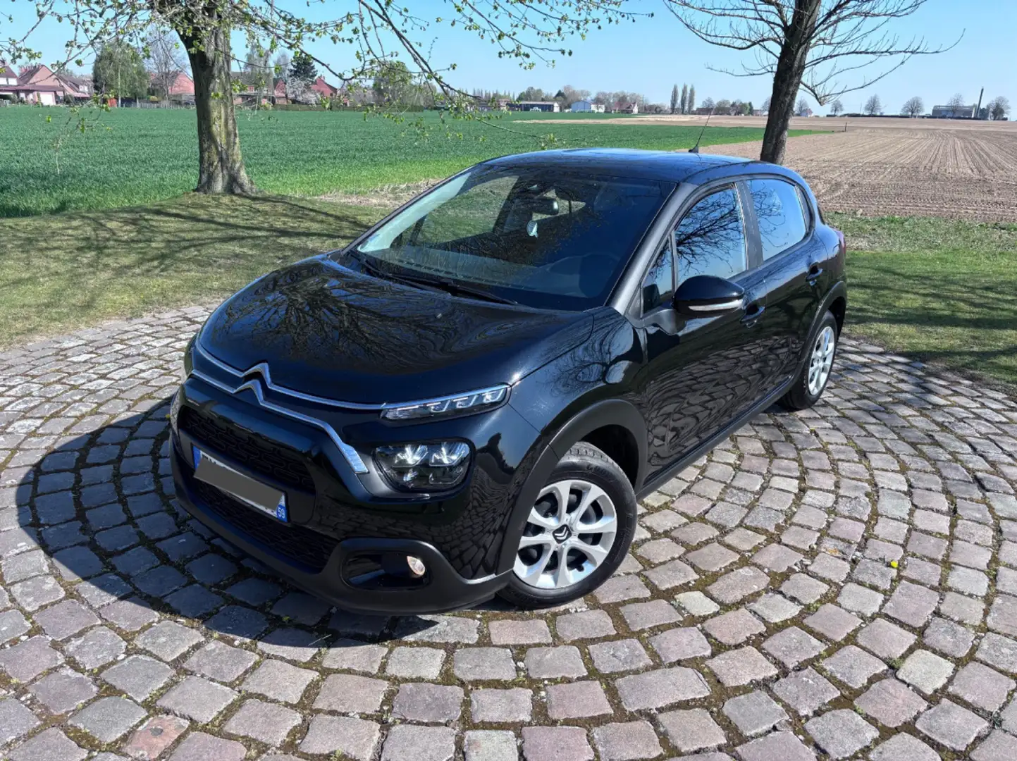 Citroen C3 BlueHDi 100 S&S BVM 6 Business Noir - 1