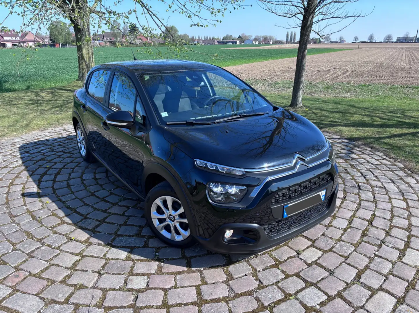 Citroen C3 BlueHDi 100 S&S BVM 6 Business Noir - 2