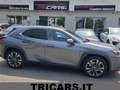Lexus UX 250h 2.0 Luxury 2wd cvt PERMUTE OK NEOPAT. UNICOPRO. Grigio - thumbnail 1