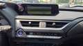 Lexus UX 250h 2.0 Luxury 2wd cvt PERMUTE OK NEOPAT. UNICOPRO. Grigio - thumbnail 11
