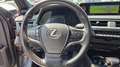 Lexus UX 250h 2.0 Luxury 2wd cvt PERMUTE OK NEOPAT. UNICOPRO. Grigio - thumbnail 13