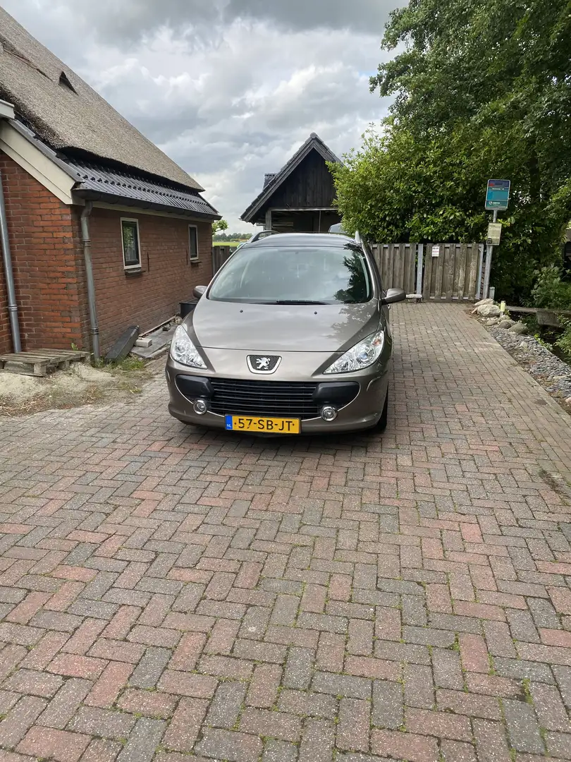 Peugeot 307 1.6-16V Grijs - 1